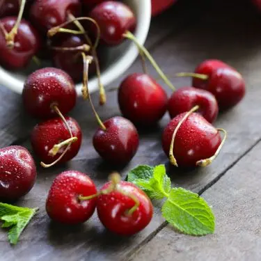 Dyrk dine egne kirsebær